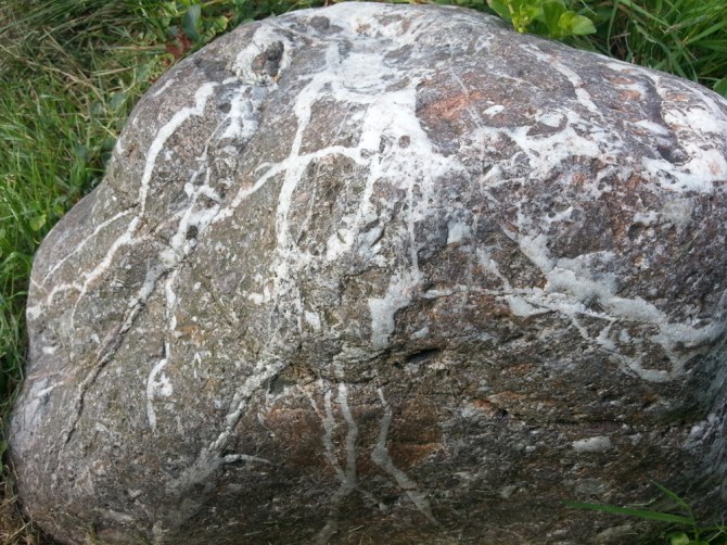 2013-09-07 18.11.08-sten graalig roed