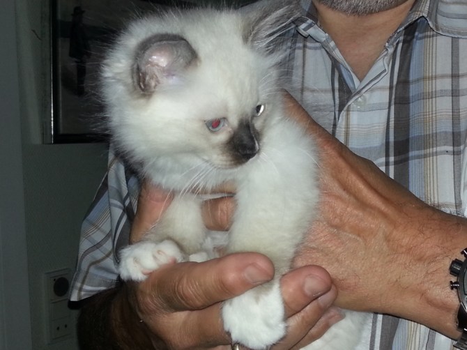 2013-07-15 20.42.38 Alessio 8 uger