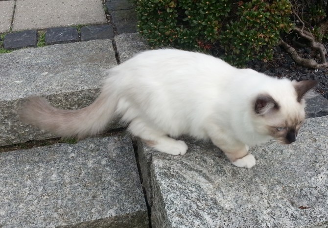 2013-09-07 18.09.53-alessio i haven