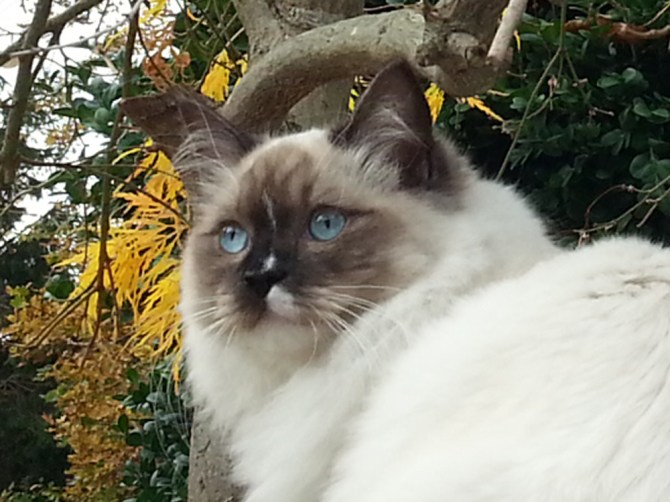 2013-10-26 13.32.22 Alessio closeup2