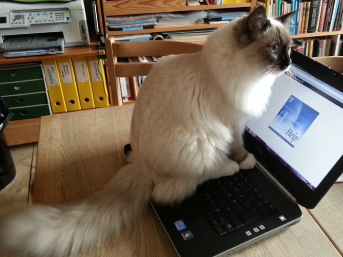 2013-11-05 12.29.39 Need help