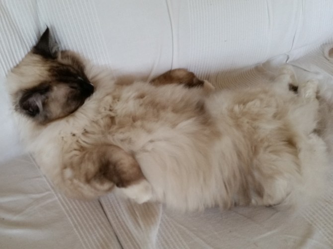 2014-07-07 15.19.20 En af de dage