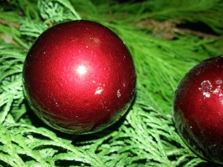 2013-12-22 17.42.30 jul 2013