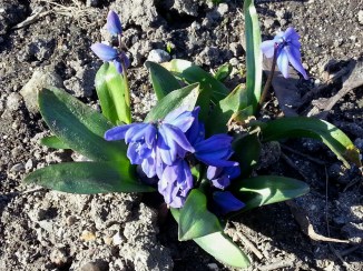 2014-03-15 12.46.00-opt