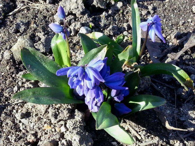 2014-03-15 12.46.00-opt